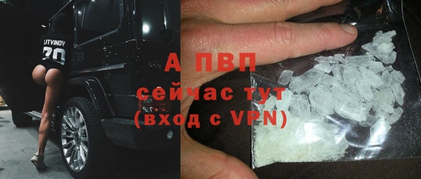 гидра Абаза