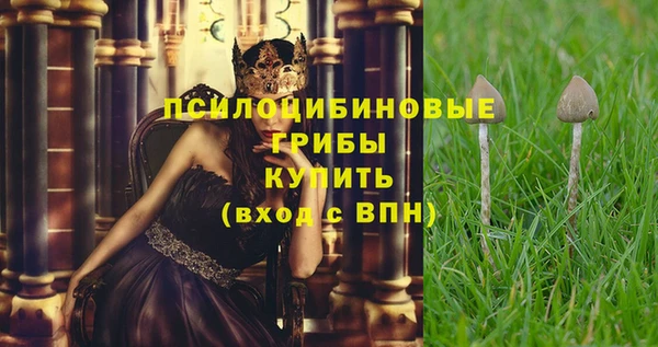 амфетамин Алексин
